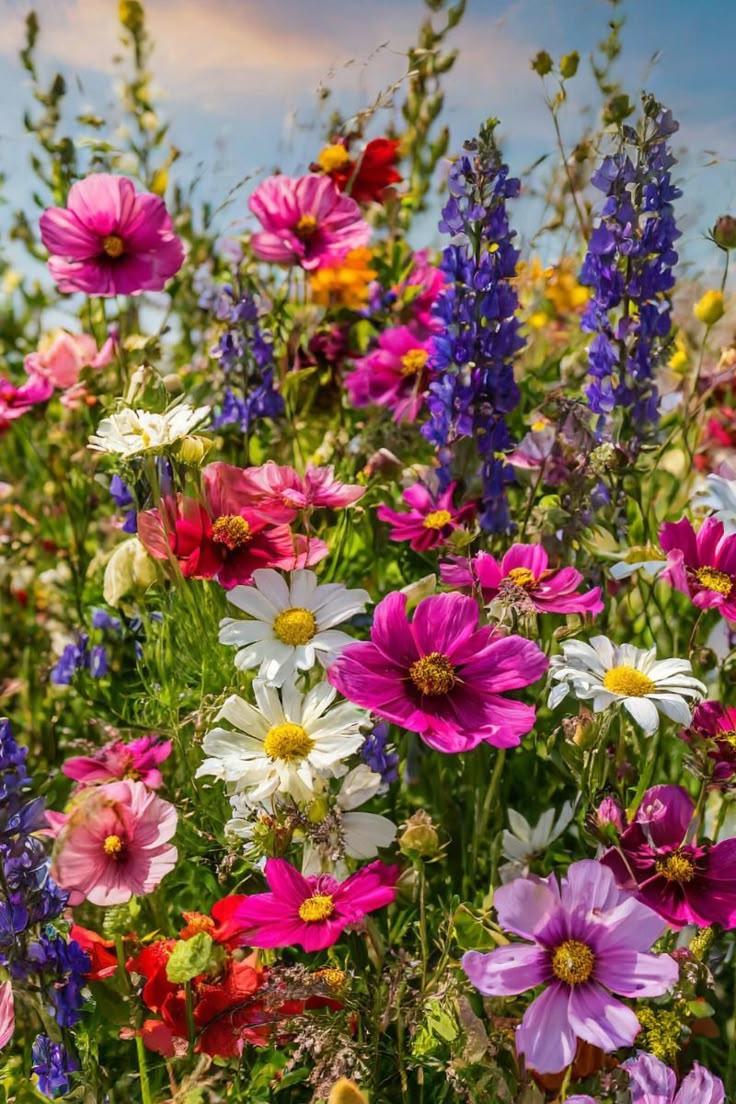 Corporate meeting room with carefully timed floral arrangements that maintain elegance throughout business hours